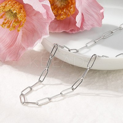 3.5MM 304 Stainless Steel Paperclip Chain Necklaces NJEW-T016-07P-1