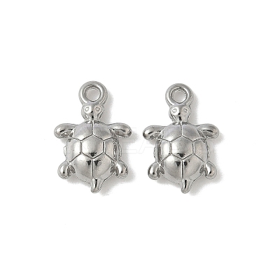 304 Stainless Steel Charms STAS-F320-01B-P-1
