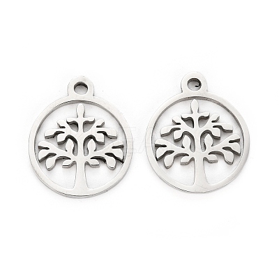 Non-Tarnish 304 Stainless Steel Charms LS-STAS-I151-46P-1