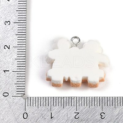Resin Pendants LS-RESI-I061-08C-1