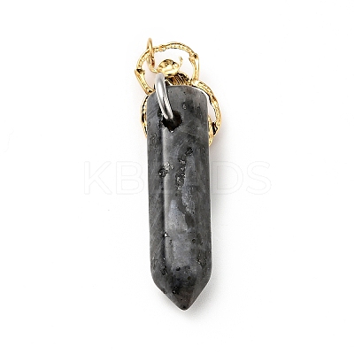 Insect Natural Labradorite Pointed Pendants G-I333-02D-1
