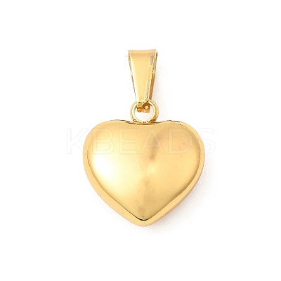 304 Stainless Steel Pendants STAS-C163-02A-G-1
