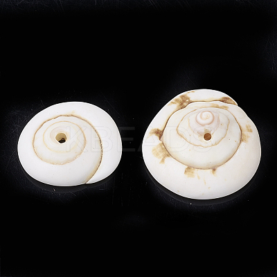 Natural Shiva Eye Shell Beads LS-SSHEL-Q302-01-1