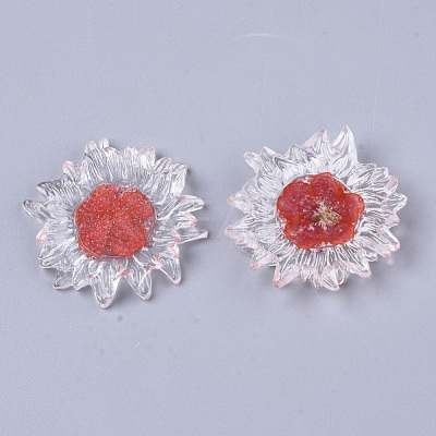 Transparent Clear Epoxy Resin Cabochons CRES-N025-02F-1