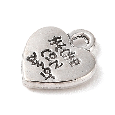 Tibetan Style Alloy Charms FIND-C060-053AS-1