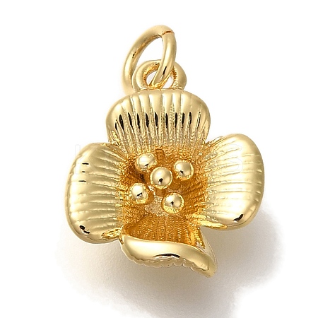 Rack Plating Brass Pendants KK-I720-57G-1