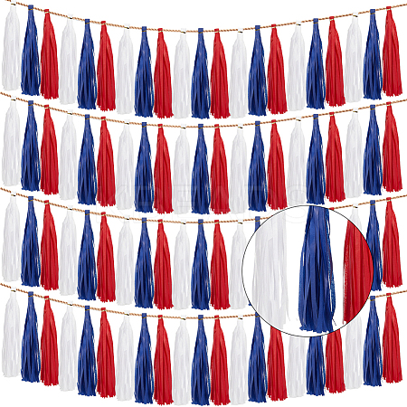 Tissue Paper Tassels Garland AJEW-WH20017-34-1