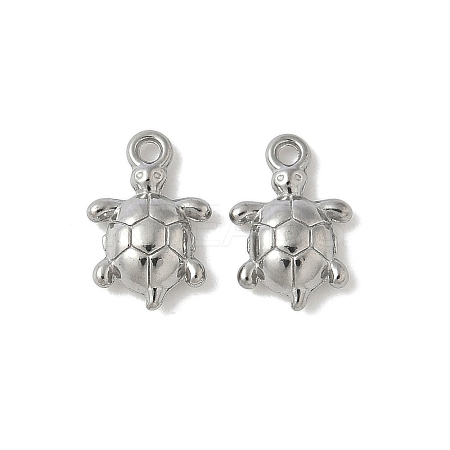 304 Stainless Steel Charms STAS-F320-01B-P-1