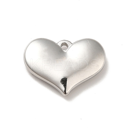 Non-Tarnish 304 Stainless Steel Pendants STAS-E176-01P-1
