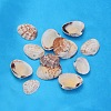 Natural Shell Beads LS-PTS022Y-1