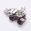 Natural Tiger Eye Pendants G-P268-04-1