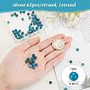 Natural Apatite Beads Strands G-OC0002-60A-2