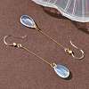Electroplated 304 Stainless Steel Resin Dangle Earrings EJEW-Z129-06G-03-3