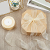 1 Rolls Sheer Organza Ribbon SRIB-CY0001-22C-11-4