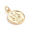 Brass Micro Pave Cubic Zirconia Pendants ZIRC-E164-34K-G-1