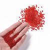 Glass Seed Beads SEED-US0003-3mm-5-4