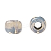 TOHO 11/0 Round Beads X-SEED-TR11-PF2115-4