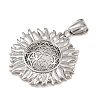 304 Stainless Steel Pendants STAS-K316-02P-2