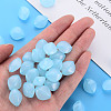 Imitation Jelly Acrylic Beads MACR-S373-93-E08-6