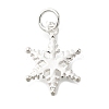 925 Sterling Silver Pendants STER-Q003-01B-S-1