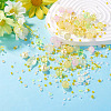 1Bag Mixed Styles Glass Beads GLAA-TADJ0001-10C-4