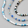 3Pcs 3 Colors Glass Seed Beads Waist Chain SEED-WH20816-001C-2