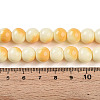 Baking Paint Glass Beads Strands DGLA-N012-10mm-03-4