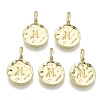 Alloy Pendants X-PALLOY-N157-004N-NR-1