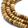 Natural Picture Jasper Beads Strands G-K245-B08-01-3