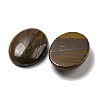 Natural Tiger Iron Cabochons G-C115-01B-28-2