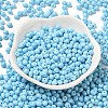 6/0 Opaque Baking Paint Glass Seed Beads X1-SEED-M012-02A-13-2