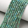 Natural HuBei Turquoise Beads Strands G-P629-B02-01-2