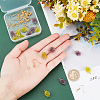 DIY Dangle Earring Making Kits DIY-CA0002-68-3