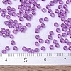 MIYUKI Round Rocailles Beads X-SEED-G007-RR1339-4