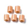 PE Fuse Beads DIY-R013-18-3