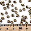 6/0 Glass Seed Beads SEED-S058-A-F215-4