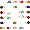 Glass Rhinestone Charms STAS-SC0001-63-1