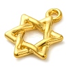Ion Plating(IP) 304 Stainless Steel Pendants STAS-M070-14G-2