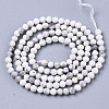 Natural Howlite Beads Strands G-R460-026-2