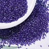MIYUKI Delica Beads X-SEED-J020-DB0284-1
