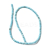 Dyed & Heated Natural Magnesite Beads Strands G-G924-01B-04-3