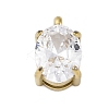 304 Stainless Steel Micro Pave Cubic Zirconia Charms STAS-L022-160G-A02-1