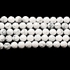 Natural Howlite Beads Strands G-E608-A01-C-2