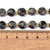 Natural Larvikite Beads Strands G-C116-A30-02-6