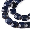 Natural Sodalite Beads Strands G-T138-169-3