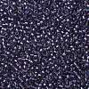 TOHO 11/0 Round Beads X-SEED-TR11-0265-2