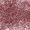 6/0 Transparent Glass Seed Beads SEED-F003-03A-03-3
