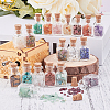 19Pcs Various Gemstone No Hole Chips in Bottles G-PH0034-50-6