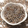 Picasso Baking Paint Glass Seed Beads SEED-A032-02A-13-2