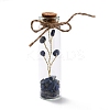 Mini Natural Crystal & Stone Beads Wishing Bottles G-C232-05B-1